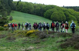 RR Margeride 2014 004