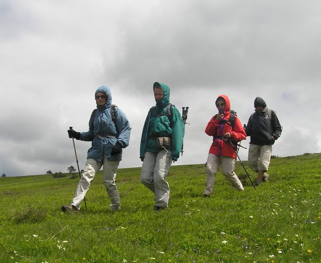 Randonneurs sur le Mont Lozère