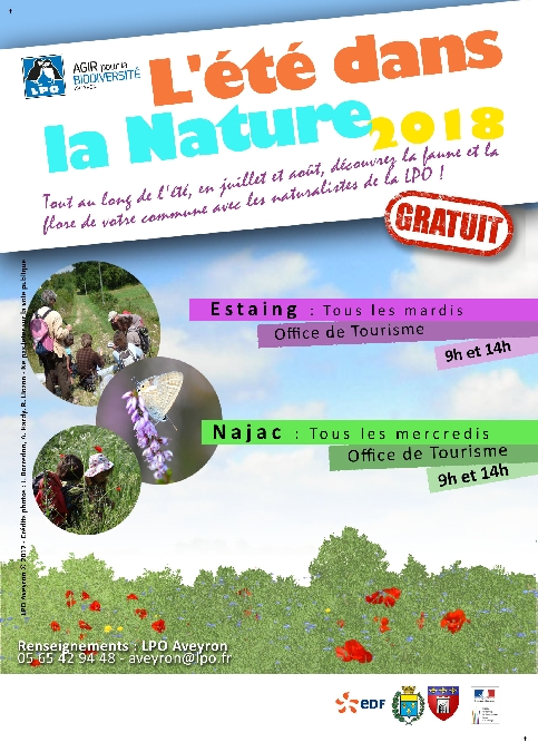 Un été dans la nature avec la LPO » Randonnée pédestre en Aveyron