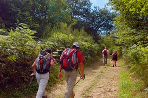 randonne ae marcheur chemin creux 1