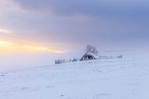 Hiver en Aubrac