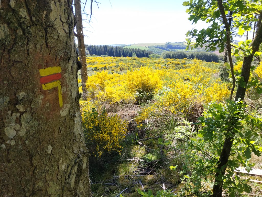 Des baliseurs de grands chemins sévissent le Lévézou 3 Balisage de la grande randonnée de pays