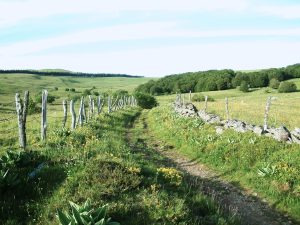 Draille sur l'Aubrac LV