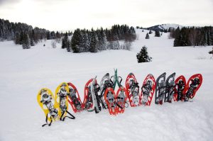 Raquettes-a-neige-©-Nicolas-Vincent
