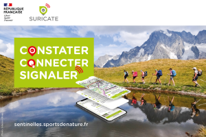 Bannière web FFrando suricate