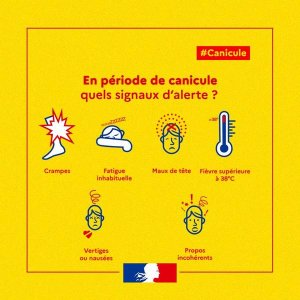 canicule signaux alerte