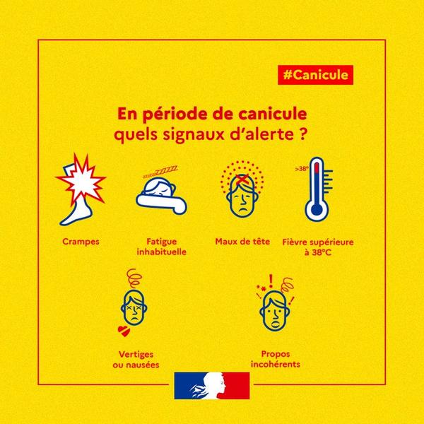 canicule signaux alerte