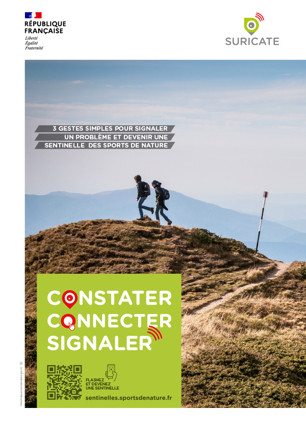 AFFICHE RANDOPEDESTRE A3 SURICATE