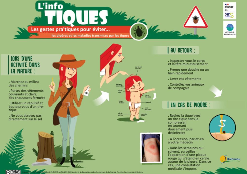 Info tique