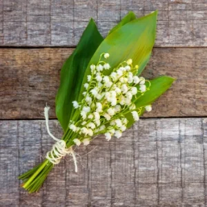 Brin de muguet