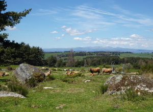 lozere urbainV bis ChristianMathieu 675x492