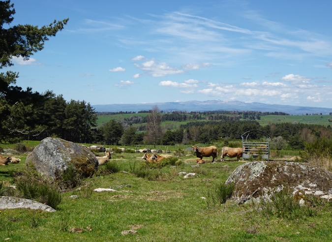 lozere urbainV bis ChristianMathieu 675x492