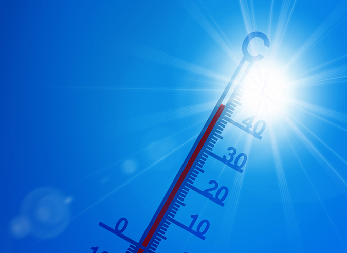 Photo canicule